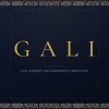 شعار GALI Mentorship Program