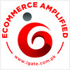 شعار iGate Technologies Pakistan