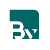 شعار Brains Valley Company