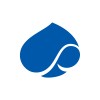 شعار Capgemini Engineering