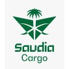 شعار الخطوط الجوية السعودية