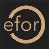 شعار Efor (formerly PharmEng Technology)