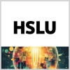 شعار Hochschule Luzern - Digital Business & Innovation (HSLU DB&I)