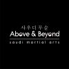 شعار Above & Beyond Martial Arts