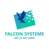 شعار FALCON SYSTEMS IFM