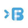 شعار Big Fish Consult