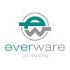 شعار Everware Consulting