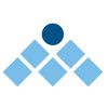 شعار Management Solutions International (MSI)