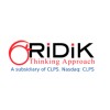 شعار RiDiK (a Subsidiary of CLPS. Nasdaq: CLPS)