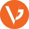 شعار VizGou Digital Marketing