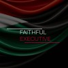 شعار Faithful Executive - Leader in Interim Management, Consulting & Executive Search