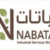 شعار Nabatat company ISD