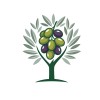 شعار Olive Tree Consulting Group