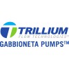 شعار Weir Gabbioneta s.r.l.