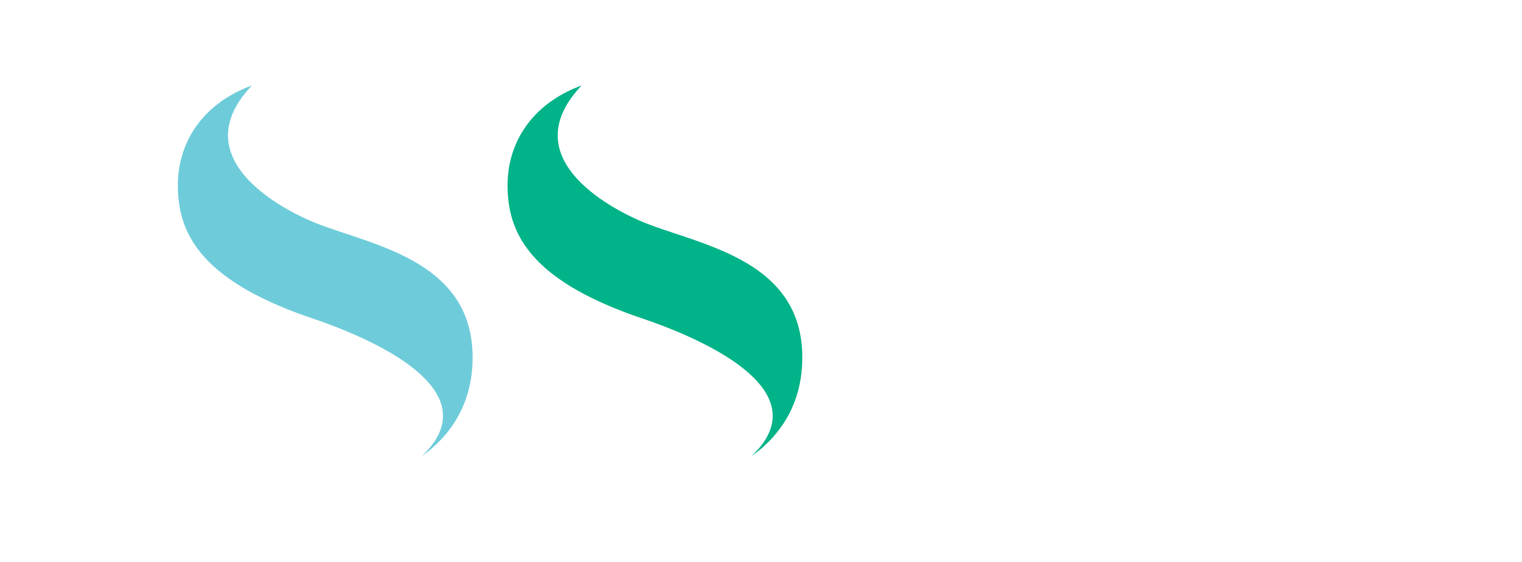 شعار الشركة السعودية للخدمات المحدودة